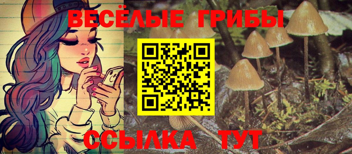 Галлюциногенные грибы Magic Shrooms  Вход с VPN  Шелехов 