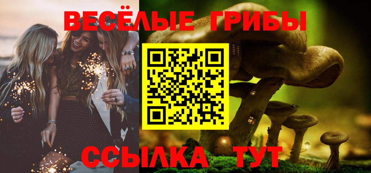 Галлюциногенные грибы прущие грибы Шелехов